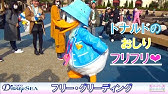 ドナルドのお尻フリフリ 開園前グリーティング Tdl Youtube
