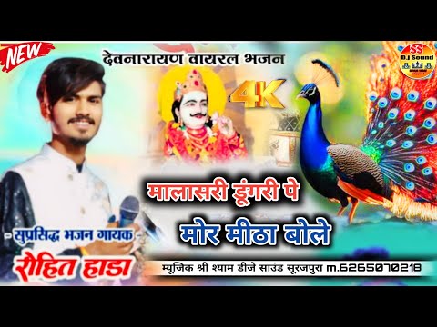 देवनारायण भगवान का न्यू सॉन्ग || मालासेरी डूंगरी पर मोर मीठा बोले सिंगर रोहित राजस्थानी #Dev Ji song