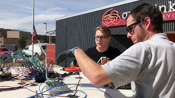 Anythink Library/Perl Mack has a Singing Tree!