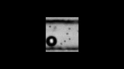 Dynamic self-assembly and control of microfluidic particle crystals S2