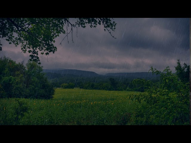 Samjhawan | Slowed | Reverb