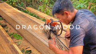 FULL SKILL‼ PENGOLAHAN KAYU DRAGON MENGGUNAKAN MESIN STIHL 070 || MENGASAH MATA RANTAI CHAINSAW