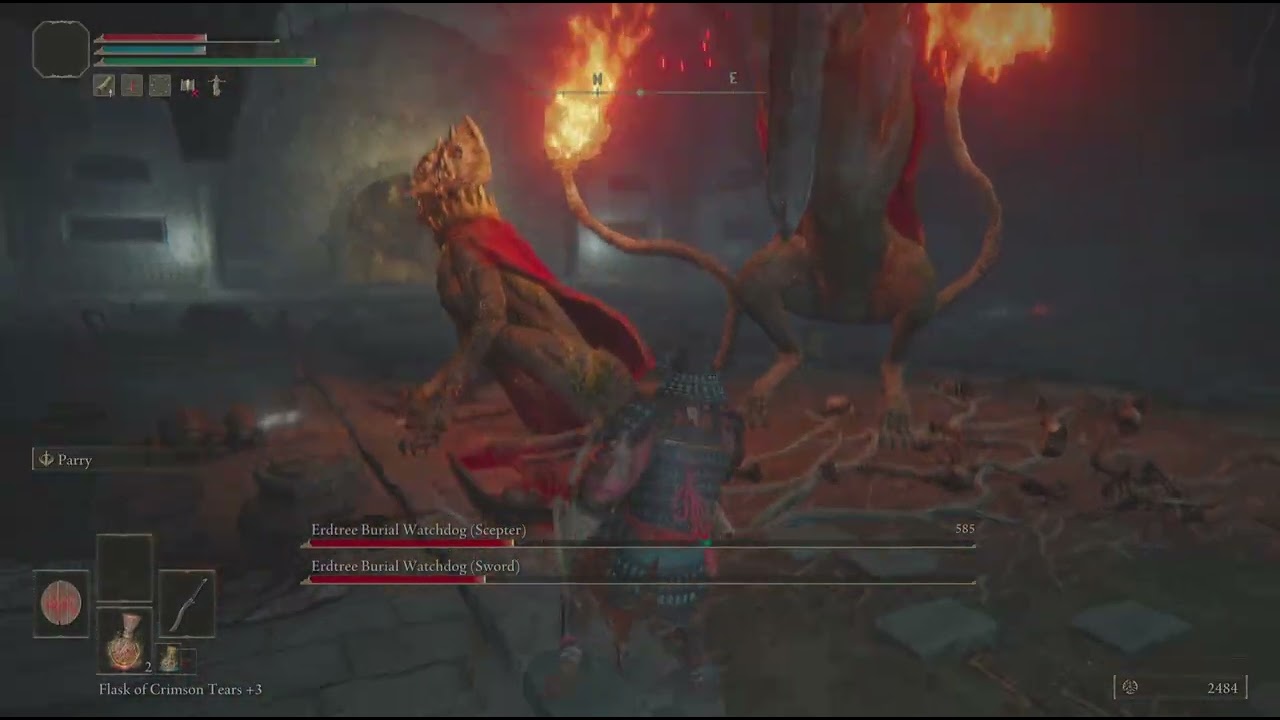 ELDEN RING_20251119165908