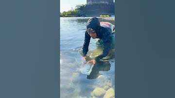 Cá Lớn - bắt Cá Rô Phi Khủng dễ dàng 😱 #khacthuyvlogg