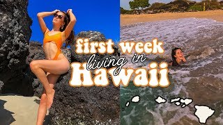 j'ai déménagé à Hawaï avec ma meilleure amie *aloha ;)* screenshot 3