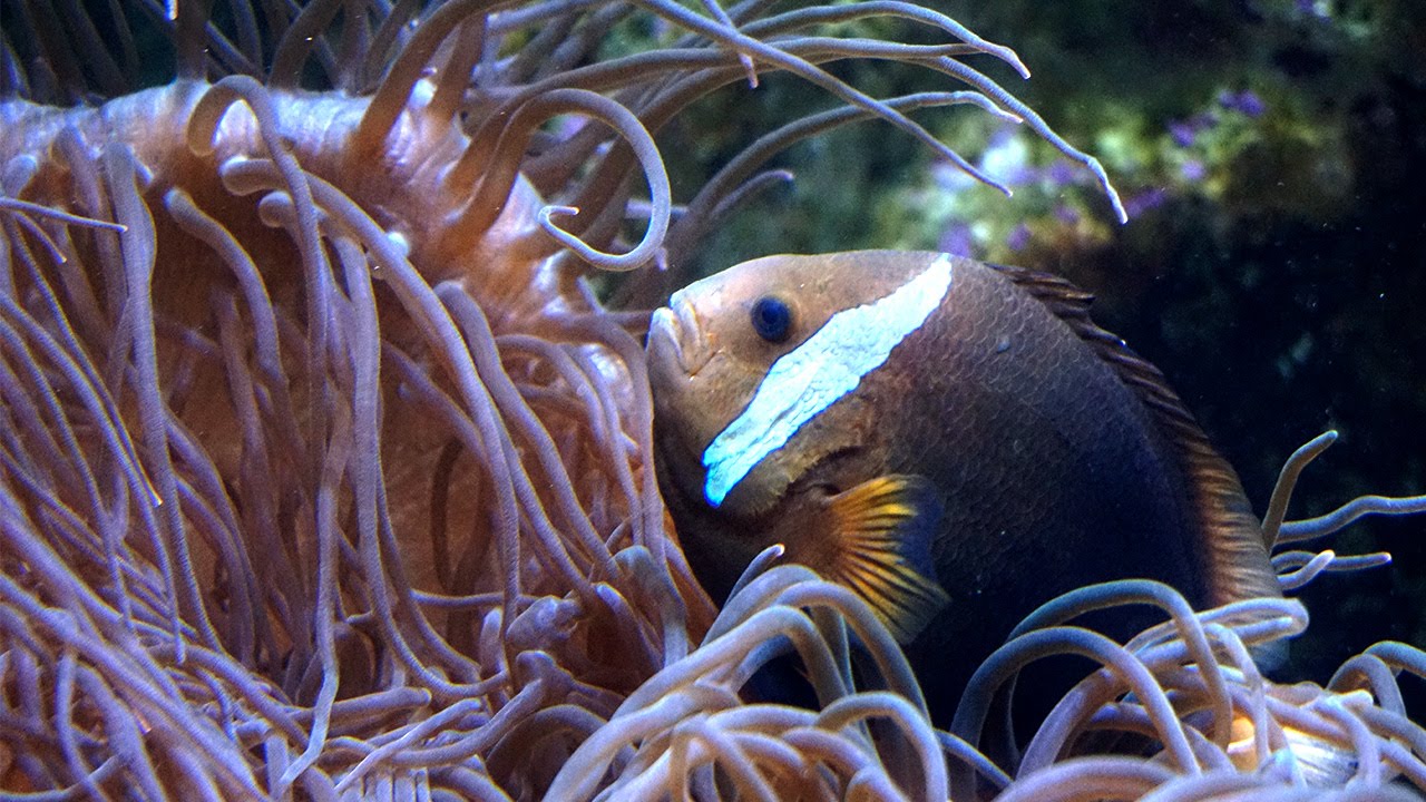 Under Water World, Guam