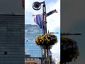 花玉 旗 FLAG 風 第70回 全日本 チンドンコンクール 北日本スクエア 富山市 TOYAMA 富山 旅行 観光 名物 2024年4月 無限 ループ endless infinite loop