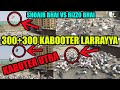 300300 kabooter larrayya  shoaib qureshi vs rizzo bhai tofani tor mara try to catch pigeons loft