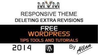 WordPress Deleting Extra Revisions