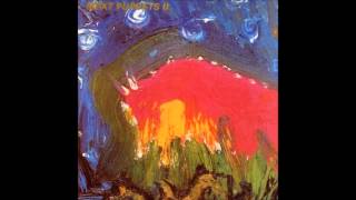 Meat Puppets - Meat Puppets II (1984) [Full Album]