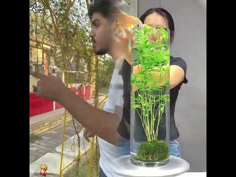 ابنيه تشتغل يمي شغلت ابنيه وياه سوي خير تشوف شر شوفو شصار كملو مش #acting #foryou #funny #shorts