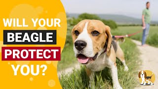 Can Beagles Defend their Owners