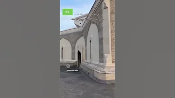 يلعن روحك جايينك سوريا 2025 Syria 