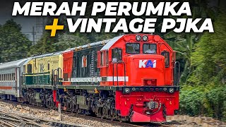 MOMEN LANGKA‼️ DOUBLE TRAKSI LOKOMOTIF MERAH & VINTAGE PJKA !! Duo Artis Jember Dinas KA Tawang Alun
