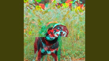 Pulsating Ambiance for Puppy Fun