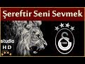 Şereftir Seni Sevmek (Stüdyo) - Galatasaray Marşları