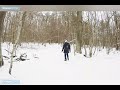 Попробуй объяснить, кто это сделал?! Йети. Снежный человек. Леший. Bigfoot