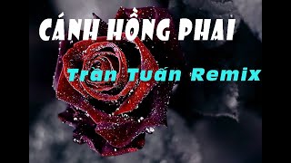 Cánh Hồng Phai ( Trần Tuấn Remix )   intrustrumental Beat