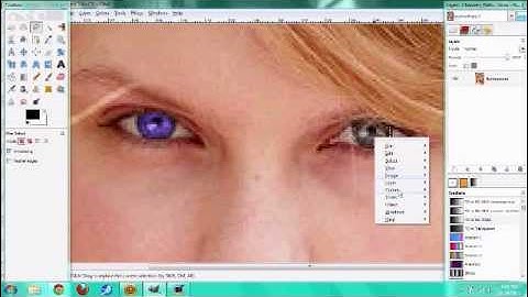 Taylor Swift Gimp Makeover