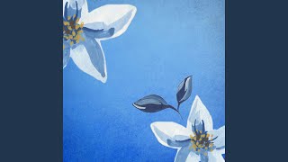 Quiet Backdrops for Courageous Spring