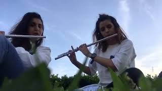 Agıre Jiyan -Helin Yanflüt Cover Amatör Müzik