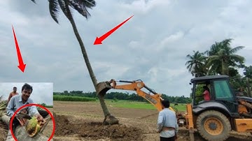 JCB VS BIG TREE - Powerful JCB Pushing Down A Big Tree - JCB VIDEO bultuzer
