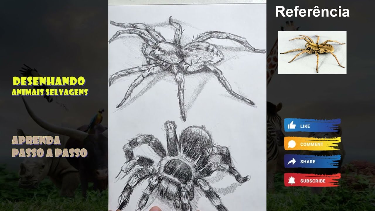 Desenhando Animais Selvagens passo a passo 004 