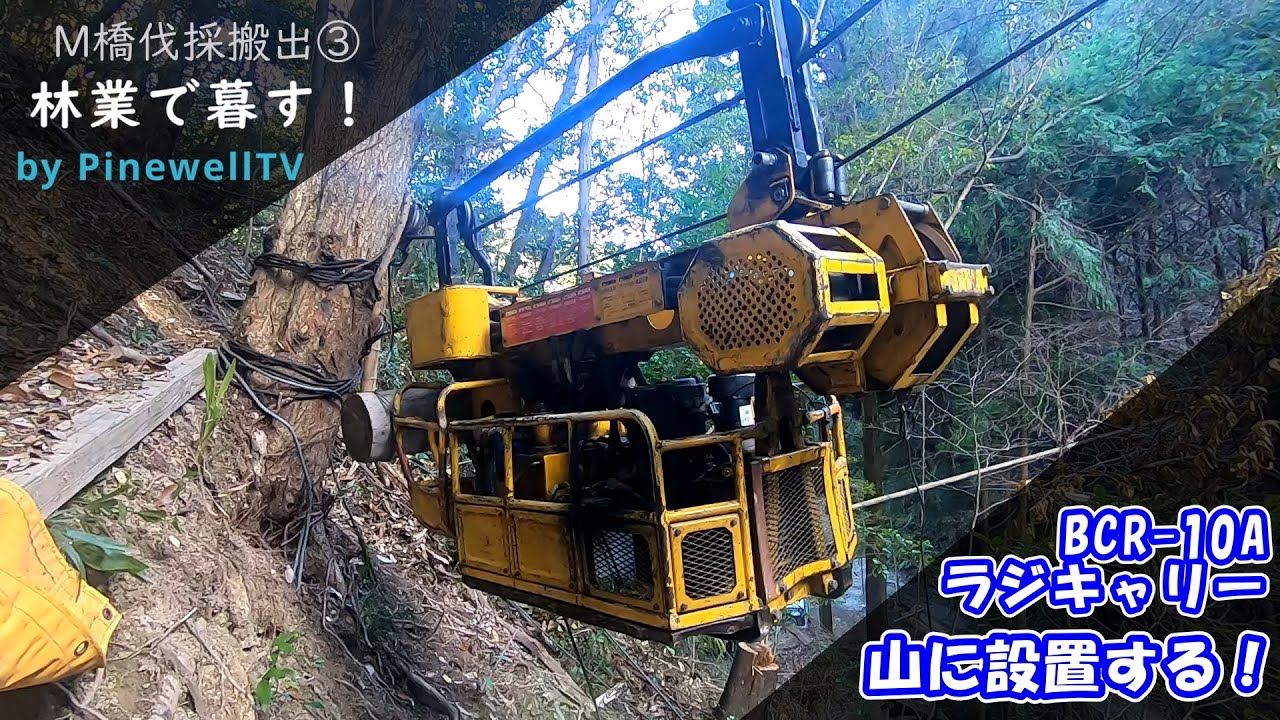 林業で暮す！M橋伐採搬出③ラジキャリー設置
