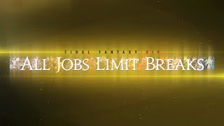[파이널 판타지14] - (v6.0) FFXIV All Jobs Limit Breaks Lv.3 / 전 직업 3단 리미트 브레이크 모음