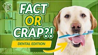 Are These 4 Dog Dental Tips FACT Or CRAP? | Ultimate Pet Nutrition