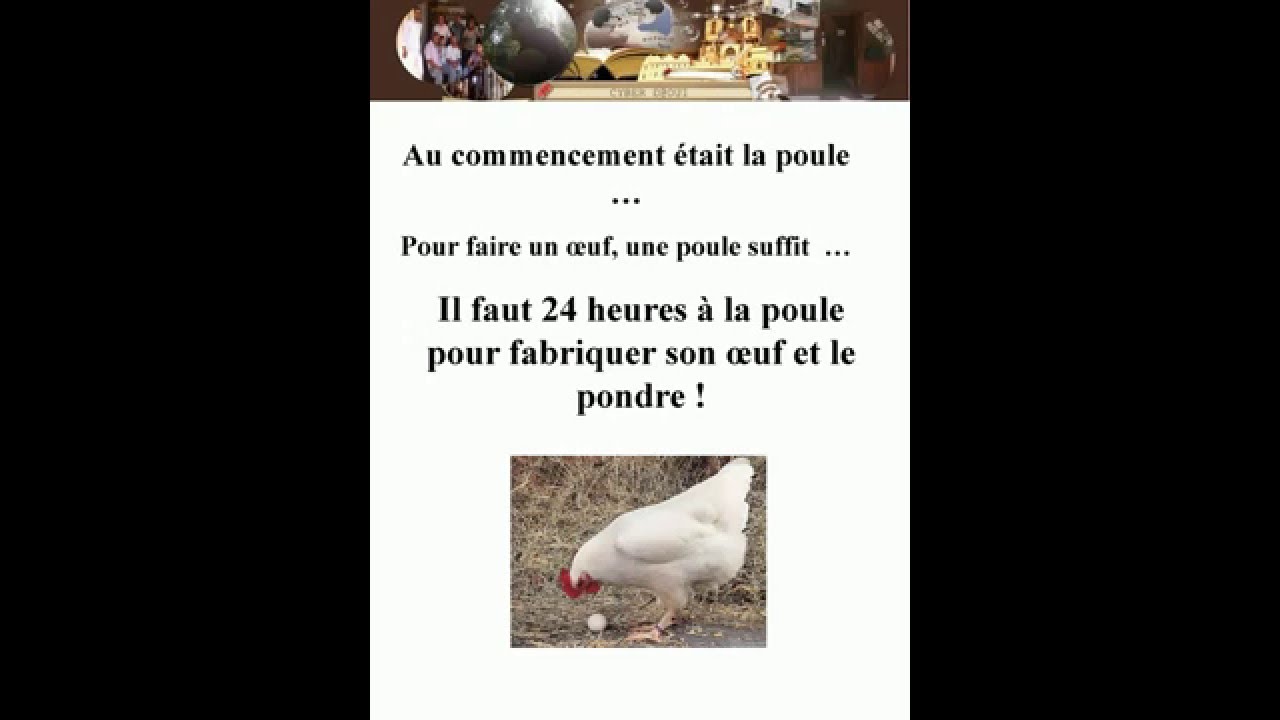 Qui Est Venu En Premier L' œuf Ou La Poule