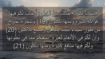 القران الكريم | سورة المؤمنون من الاية 1 وحتى 27