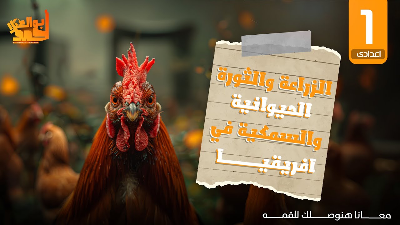 الزراعة والثروة الحيوانية والسمكية فى افريقيا | اولى اعدادى | جزء 1