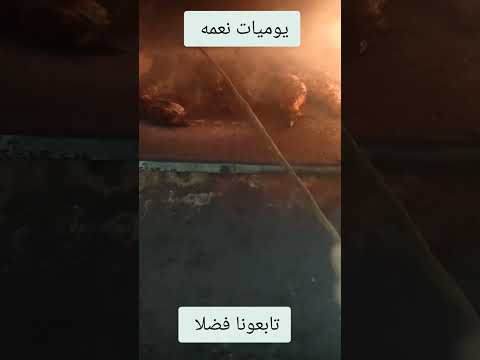 علم في المتبلم يصبح ناسي