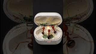 Dead AirPods Case Repair… Then It Collapses #repair #asmr #airpods