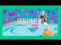 【歌ってみた】センティメント/ 城園アリア(cover)