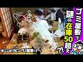 【実家片付け】貯金200万で「水着ハンガー50本」の狂気…捨て渋る母と断捨離！ラストで父の超大型犬飼育計画が発覚…！