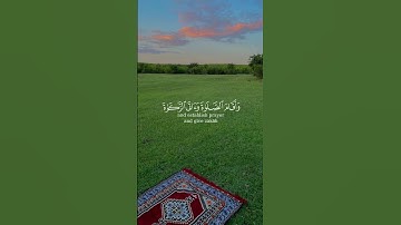 قرآن كريم ❤️❤️ #اذكروا_الله #fyp #قران_كريم #قران #quran_alkarim #quran #foryoupage❤️❤️ #for
