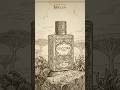 SOCOTRA - سقطرى (50ml)