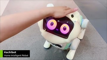 NVIDIA Jetson Orin Powered AI Solutions