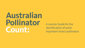 Australian Pollinator Count - Learner Guide Video