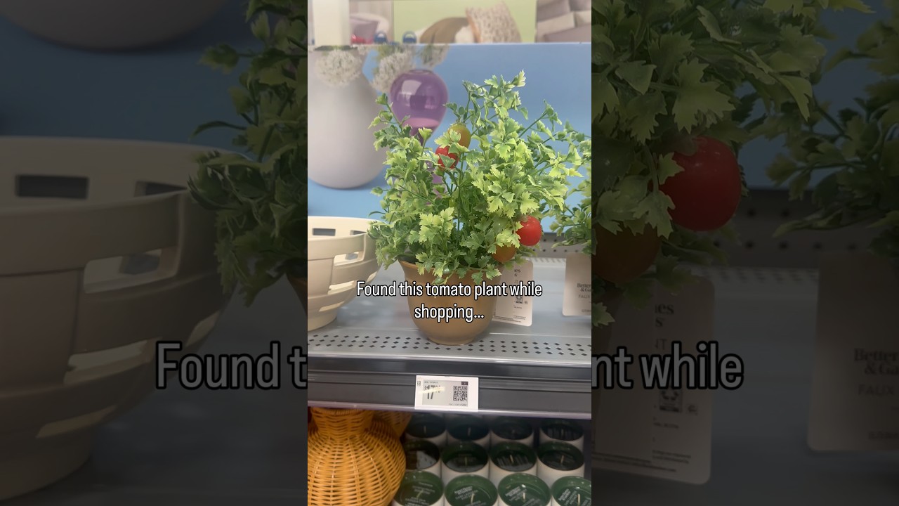 Uploads from From Seed to Spoon Garden Planning App