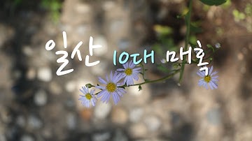 일산아줌마들이 고른 일산 10대 맛집ㆍ명소 (Top 10 Must-Visit Places in Ilsan)