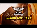 PaT & MaT Brothers * IN THE MIX * PROMO MIX * 2019 *