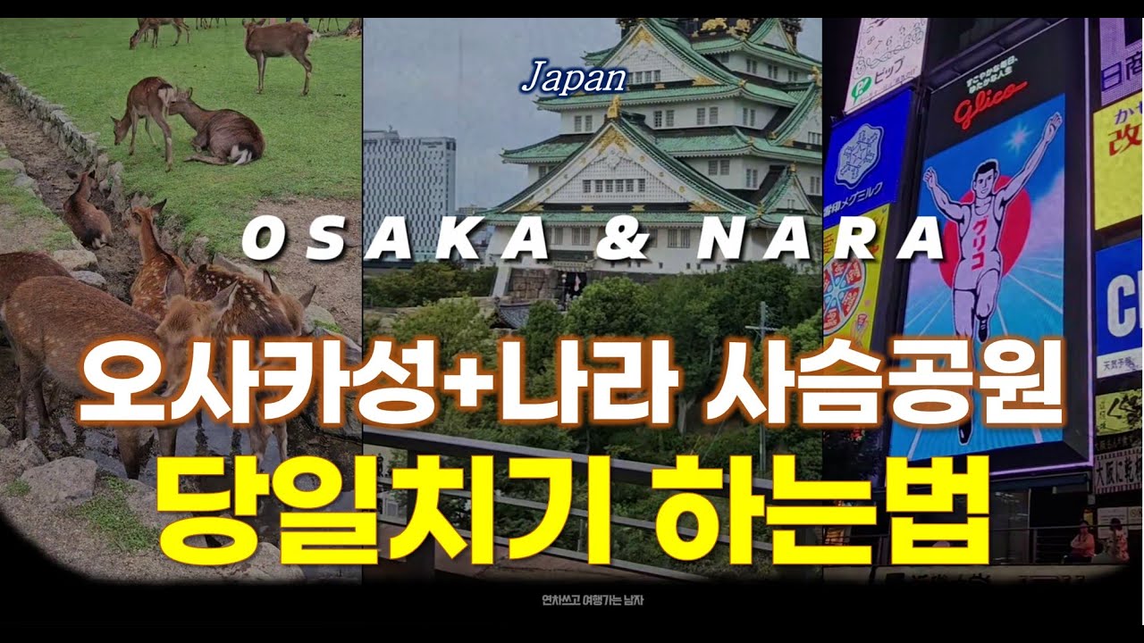 오사카에서 나라 사슴공원 가는 법 | 오사카성, 나라 사슴공원, 도톤보리 리버크루즈 당일치기 여행 코스, 시간, 예약 꿀팁까지!