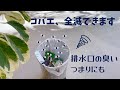 排水口のつまりや臭いコバエ対策★10円からの対策をぜひ!