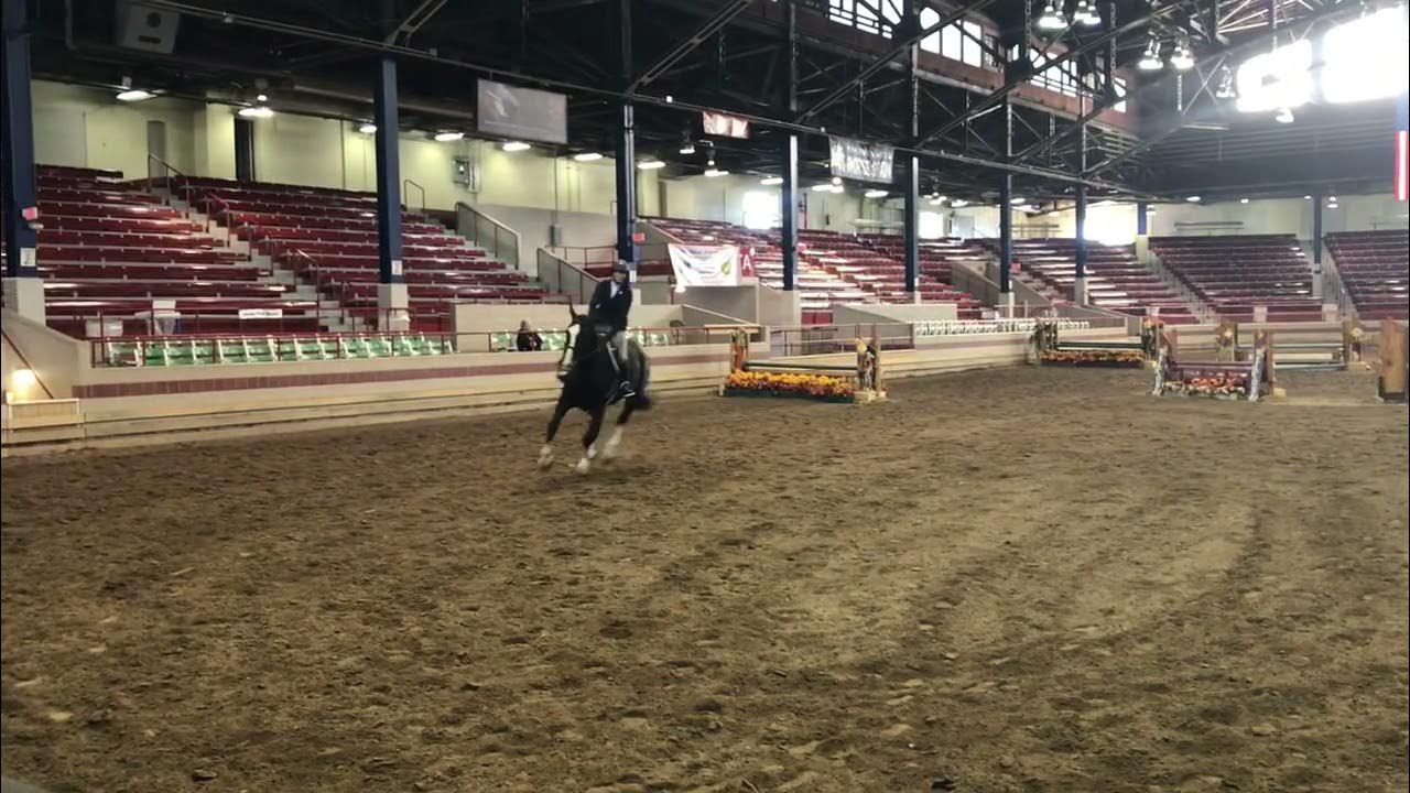 Syracuse horse show 2019 on Rook YouTube