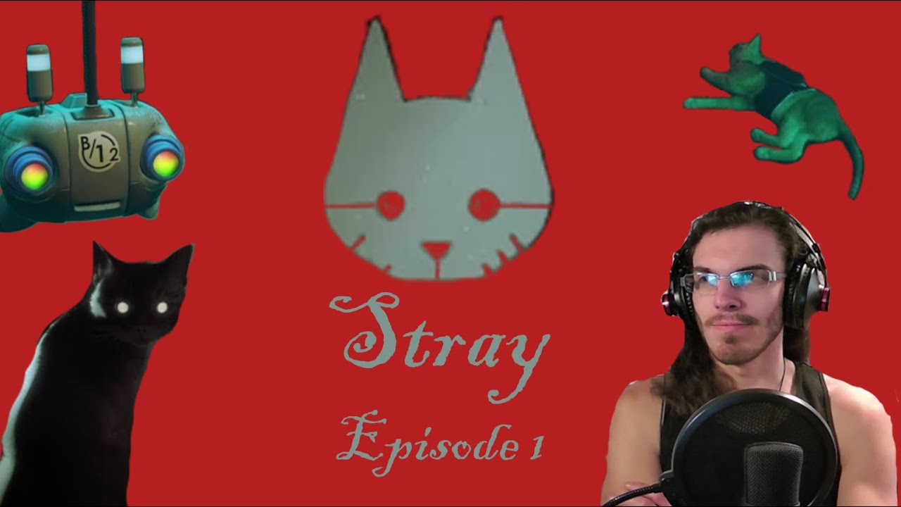 Stray: Episode 1