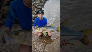 Giant 44" Snook Catch and Release | Tobago Fishing🇹🇹