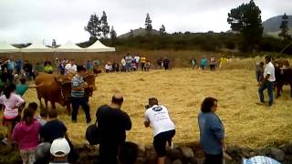 LA TRILLA 2014 - EL TANQUE